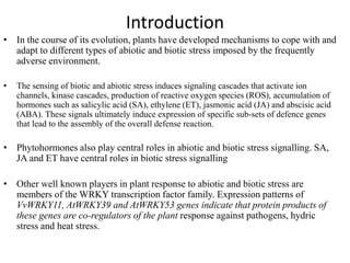 Abiotic and biotic stress response/crosstalk | PPTX