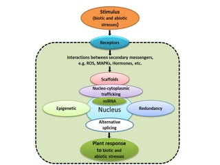 Abiotic and biotic stress response/crosstalk | PPTX