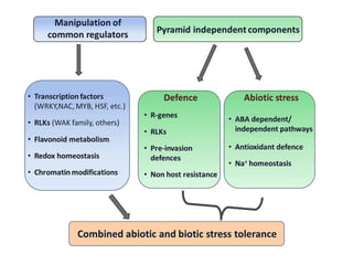 Abiotic and biotic stress response/crosstalk | PPTX