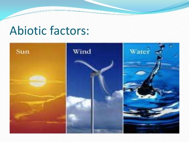 abiotic components