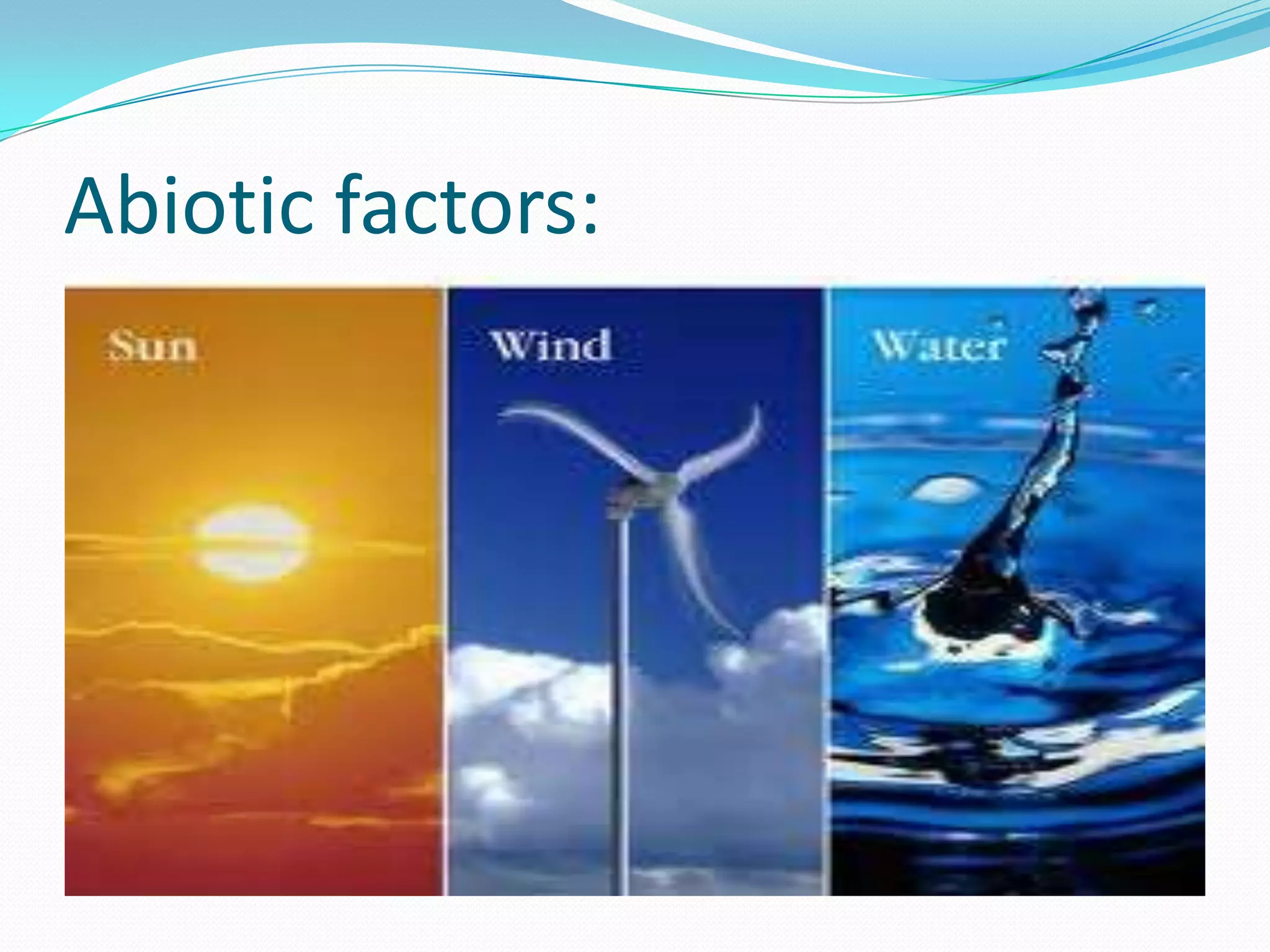 Abiotic factors:
 