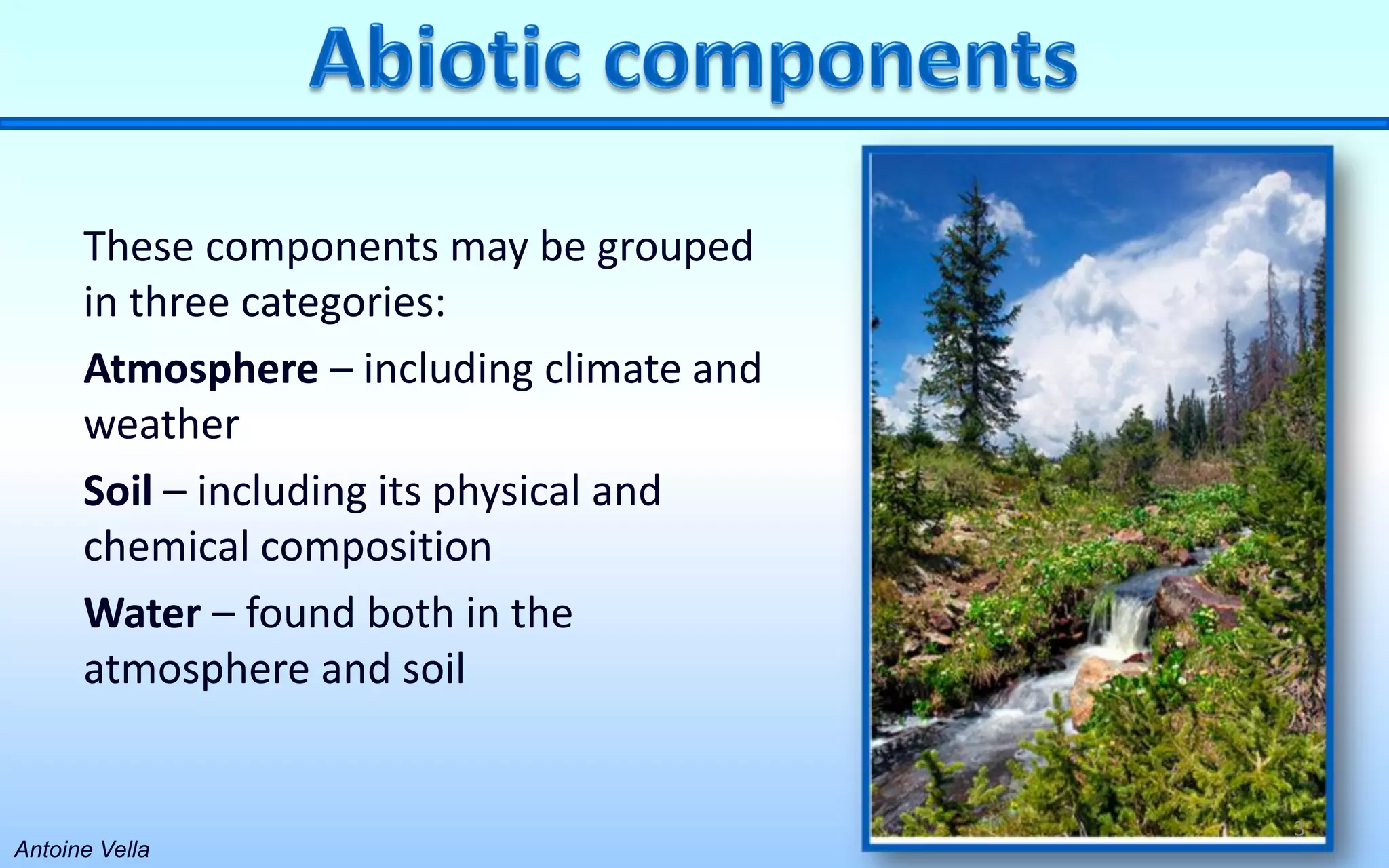 Abiotic components of the environment | PPT