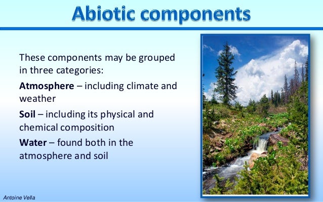 biotic and abiotic components of environment pdf