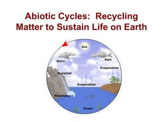 Abiotic Cycles: Recycling
Matter to Sustain Life on Earth
 
