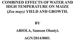 COMBINED EFFECTS OF WATER AND
HIGH TEMPERATURE ON MAIZE
(Zea mays) YIELD AND GROWTH.
BY
ABIOLA, Samson Olaniyi.
AGN/2014/0001. 1
 