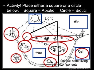 • Activity! Place either a square or a circle
below. Square = Abiotic Circle = Biotic
Air
Water
Light
Soil
Soil has some living
components
Copyright © 2010 Ryan P. Murphy
 