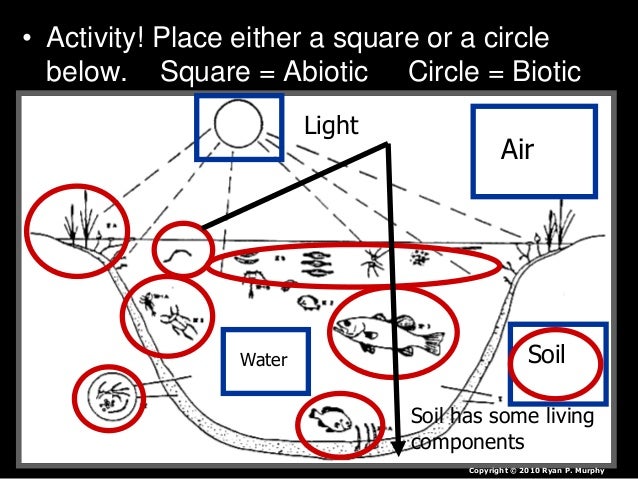 Worksheets Abiotic And Biotic Factors Worksheet ecology abiotic non living factors light temperature mositure activity place either a square or circle below circle