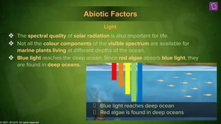 © 2021, BYJU'S. All rights reserved
Abiotic Factors
Blue light reaches deep ocean
Red algae is found in deep oceans
❖ The spectral quality of solar radiation is also important for life.
❖ Not all the colour components of the visible spectrum are available for
marine plants living at diﬀerent depths of the ocean.
❖ Blue light reaches the deep ocean. Since red algae absorb blue light, they
are found in deep oceans.
Light
 