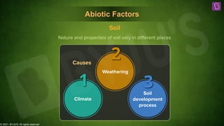 © 2021, BYJU'S. All rights reserved
1
Climate
2
Weathering
3
Soil
development
process
Causes
Abiotic Factors
Soil
Nature and properties of soil vary in diﬀerent places
 