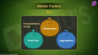 © 2021, BYJU'S. All rights reserved
Abiotic Factors
1
2
Composition
3
Aggregation
Grain size
Characteristics
of soil
Soil
 