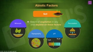 © 2021, BYJU'S. All rights reserved
Abiotic Factors
❖ Extent of vegetation in any
area depend on these factors
Topography
Minerals Percolation
pH
0 pH
10 pH
Soil
 