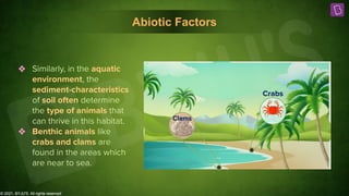 © 2021, BYJU'S. All rights reserved
Crabs
Clams
❖ Similarly, in the aquatic
environment, the
sediment-characteristics
of soil often determine
the type of animals that
can thrive in this habitat.
❖ Benthic animals like
crabs and clams are
found in the areas which
are near to sea.
Abiotic Factors
© 2021, BYJU'S. All rights reserved
 