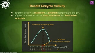 © 2021, BYJU'S. All rights reserved
Recall! Enzyme Activity
❖ Enzyme activity is maximum at optimum temperature and pH.
❖ Optimum means to be the most conducive to a favourable
outcome.
Rate
of
enzyme
activity
Temperature (⁰C)
Maximum enzyme activity
0 10 20 30 37 40 50
Optimum
temperature and pH
pH
1 2 3 4 5 6 7 8 9 10
 