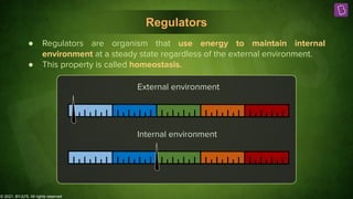 © 2021, BYJU'S. All rights reserved
Regulators
● Regulators are organism that use energy to maintain internal
environment at a steady state regardless of the external environment.
● This property is called homeostasis.
External environment
Internal environment
 