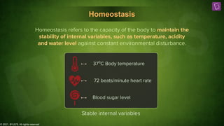 © 2021, BYJU'S. All rights reserved
Homeostasis
Homeostasis refers to the capacity of the body to maintain the
stability of internal variables, such as temperature, acidity
and water level against constant environmental disturbance.
370
C Body temperature
72 beats/minute heart rate
Blood sugar level
Stable internal variables
 