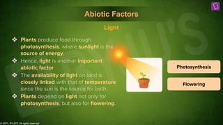 © 2021, BYJU'S. All rights reserved
© 2021, BYJU'S. All rights reserved
Abiotic Factors
Photosynthesis
Flowering
❖ Plants produce food through
photosynthesis, where sunlight is the
source of energy.
❖ Hence, light is another important
abiotic factor
❖ The availability of light on land is
closely linked with that of temperature
since the sun is the source for both.
❖ Plants depend on light not only for
photosynthesis, but also for ﬂowering.
Light
 