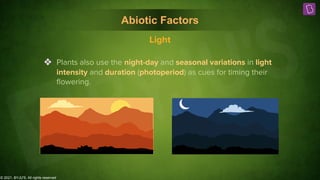 © 2021, BYJU'S. All rights reserved
❖ Plants also use the night-day and seasonal variations in light
intensity and duration (photoperiod) as cues for timing their
ﬂowering.
Light
Abiotic Factors
Abiotic Factors
 