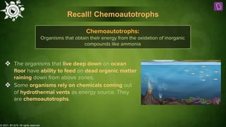 © 2021, BYJU'S. All rights reserved
Recall! Chemoautotrophs
Chemoautotrophs:
Organisms that obtain their energy from the oxidation of inorganic
compounds like ammonia
❖ The organisms that live deep down on ocean
ﬂoor have ability to feed on dead organic matter
raining down from above zones.
❖ Some organisms rely on chemicals coming out
of hydrothermal vents as energy source. They
are chemoautotrophs.
 