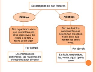 Se compone de dos factores
Bióticos Abióticos
Son organismos vivos
que interactúan con
otros seres vivos. Se
refiere a la flora y
fauna de un lugar.
Son los distintos
componentes que
determinan el espacio
físico, en el cual
habitan los seres
vivos.
Las interacciones
alimenticias, las relaciones de
competencia por alimento
La lluvia, temperatura,
luz, viento, agua, tipo de
suelo.
Por ejemploPor ejemplo
 