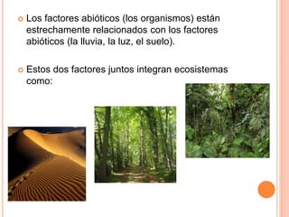  Los factores abióticos (los organismos) están
estrechamente relacionados con los factores
abióticos (la lluvia, la luz, el suelo).
 Estos dos factores juntos integran ecosistemas
como:
 