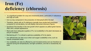 Abiotic Plant Diseases.pptx