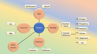 Abiotic Plant Diseases.pptx