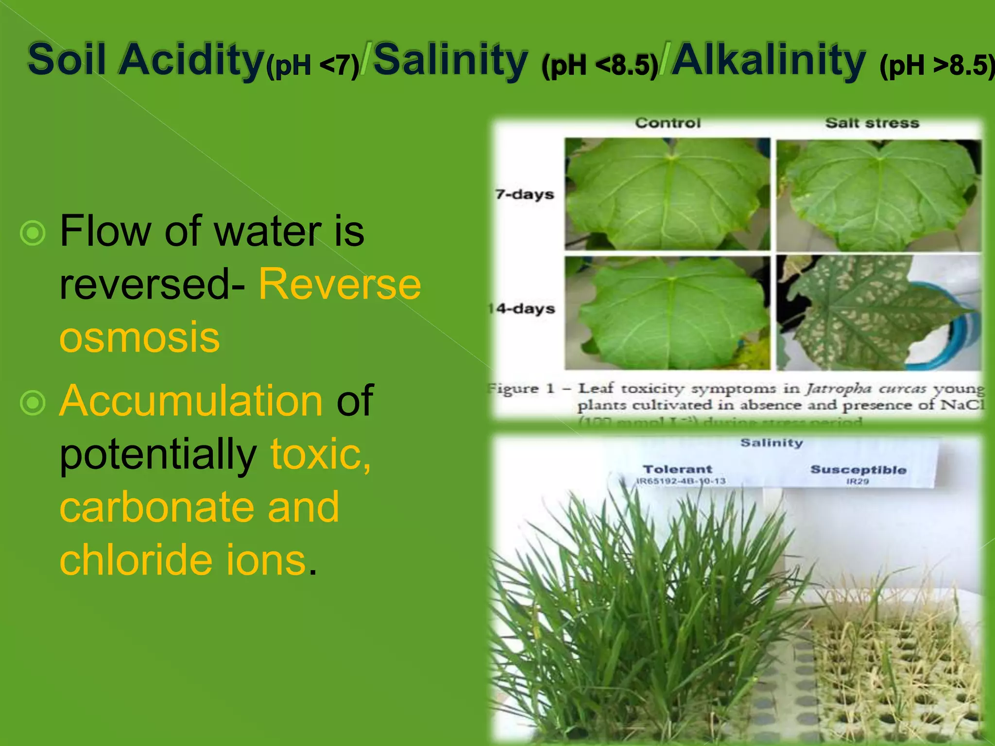 Snow'S Classification: Biotic Or Abiotic?  Learn The Facts! - ueke9k4