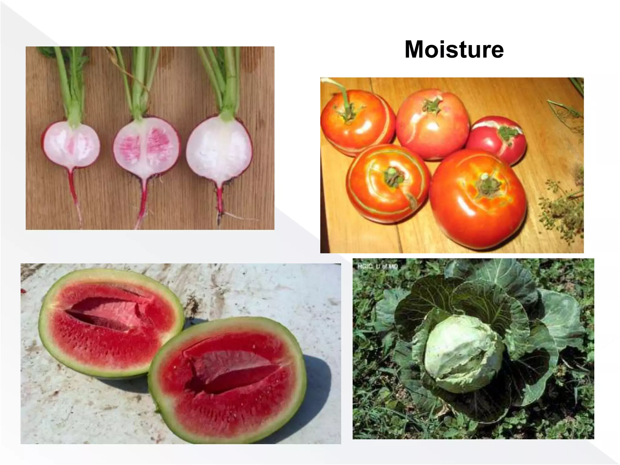 Snow'S Classification: Biotic Or Abiotic?  Learn The Facts! - 6qdk0y4