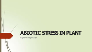 ABIOTIC STRESS IN PLANT
Avjinder Singh Kaler
 