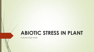 ABIOTIC STRESS IN PLANT
Avjinder Singh Kaler
 