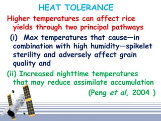 HEAT TOLERANCE
Higher temperatures can affect rice
yields through two principal pathways
(i) Max temperatures that cause—in
combination with high humidity—spikelet
sterility and adversely affect grain
quality and
(ii) Increased nighttime temperatures
that may reduce assimilate accumulation
(Peng et al, 2004 )
 