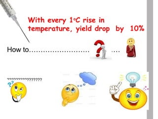 With every 1o
C rise in
temperature, yield drop by 10%
How to…………………………………
????????????????
 