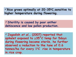 Jagadish et al., (2007) reported that
spikelet exposed to ≥35˚C temp for 5days
during flowering became sterile, he further
observed a reduction to the tune of 0.6
tonnes/ha for every 10
C rise in temperature
in rice crop.
Rice grows optimally at 20-350
C,sensitive to
higher temperature during flowering.
Sterility is caused by poor anther
dehiscence and low pollen production.
 