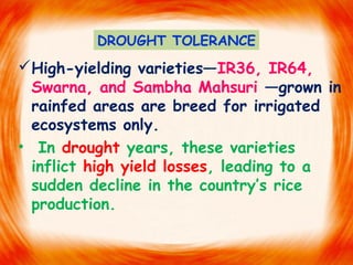 High-yielding varieties—IR36, IR64,
Swarna, and Sambha Mahsuri —grown in
rainfed areas are breed for irrigated
ecosystems only.
• In drought years, these varieties
inflict high yield losses, leading to a
sudden decline in the country’s rice
production.
DROUGHT TOLERANCE
 