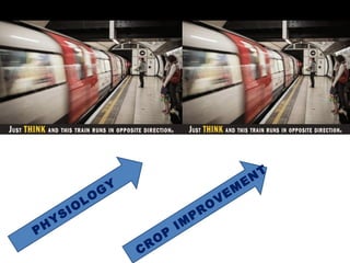 PHYSIOLOGY
CRO
P
IM
PRO
VEM
EN
T
 