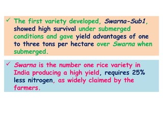  The first variety developed, Swarna-Sub1,
showed high survival under submerged
conditions and gave yield advantages of one
to three tons per hectare over Swarna when
submerged.
 Swarna is the number one rice variety in
India producing a high yield, requires 25%
less nitrogen, as widely claimed by the
farmers.
 