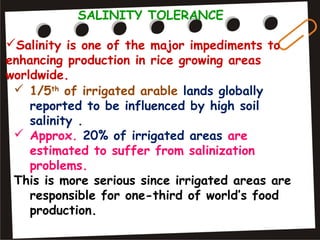 SALINITY TOLERANCE
Salinity is one of the major impediments to
enhancing production in rice growing areas
worldwide.
 1/5th
of irrigated arable lands globally
reported to be influenced by high soil
salinity .
 Approx. 20% of irrigated areas are
estimated to suffer from salinization
problems.
This is more serious since irrigated areas are
responsible for one-third of world’s food
production.
 