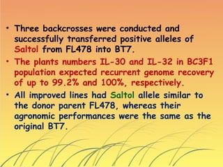 • Three backcrosses were conducted and
successfully transferred positive alleles of
Saltol from FL478 into BT7.
• The plants numbers IL-30 and IL-32 in BC3F1
population expected recurrent genome recovery
of up to 99.2% and 100%, respectively.
• All improved lines had Saltol allele similar to
the donor parent FL478, whereas their
agronomic performances were the same as the
original BT7.
 
