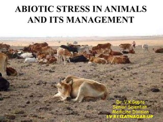 ABIOTIC STRESS IN ANIMALS
AND ITS MANAGEMENT
Dr. V.K.Gupta
Senior Scientist,
Medicine Division
I.V.R.I.IZATNAGAR(UP)
 
