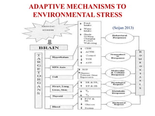ADAPTIVE MECHANISMS TO
ENVIRONMENTAL STRESS
(Seijan 2013)
 