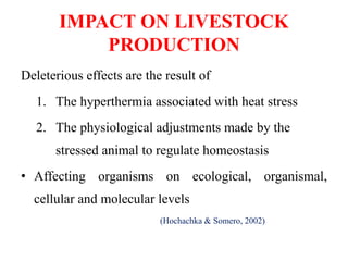 IMPACT ON LIVESTOCK
PRODUCTION
Deleterious effects are the result of
1. The hyperthermia associated with heat stress
2. The physiological adjustments made by the
stressed animal to regulate homeostasis
• Affecting organisms on ecological, organismal,
cellular and molecular levels
(Hochachka & Somero, 2002)
 