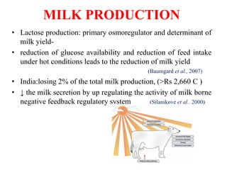 MILK PRODUCTION
• Lactose production: primary osmoregulator and determinant of
milk yield-
• reduction of glucose availability and reduction of feed intake
under hot conditions leads to the reduction of milk yield
(Baumgard et al., 2007)
• India:losing 2% of the total milk production, (>Rs 2,660 C )
• ↓ the milk secretion by up regulating the activity of milk borne
negative feedback regulatory system (Silanikove et al., 2000)
 