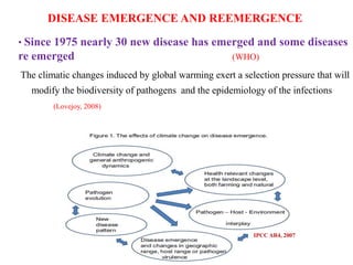 DISEASE EMERGENCE AND REEMERGENCE
• Since 1975 nearly 30 new disease has emerged and some diseases
re emerged (WHO)
IPCC AR4, 2007
The climatic changes induced by global warming exert a selection pressure that will
modify the biodiversity of pathogens and the epidemiology of the infections
(Lovejoy, 2008)
 
