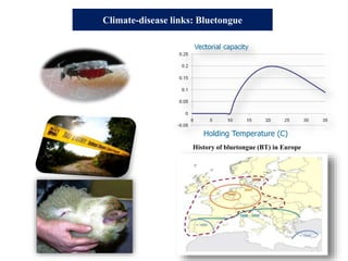 Climate-disease links: Bluetongue
Holding Temperature (C)
History of bluetongue (BT) in Europe
 