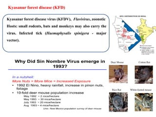 Kyasanur forest disease (KFD)
Kyasanur forest disease virus (KFDV), Flavivirus, zoonotic
Hosts: small rodents, bats and monkeys may also carry the
virus. Infected tick (Haemaphysalis spinigera - major
vector).
Deer Mouse Cotton Rat
Rice Rat White-footed mouse
 