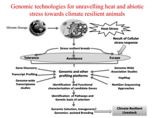 Genomic technologies for unravelling heat and abiotic
stress towards climate resilient animals
 