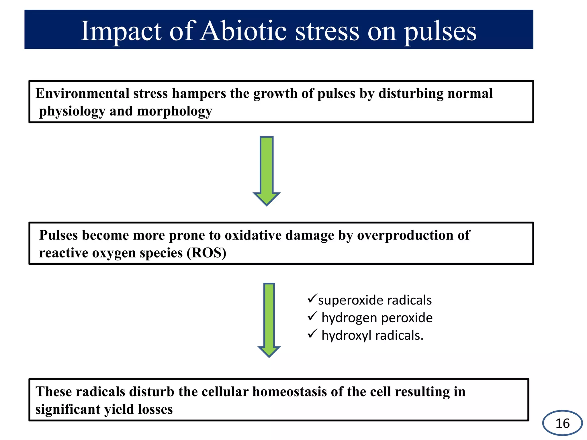 Impact of Abiotic stress on pulses
Environmental stress hampers the growth of pulses by disturbing normal
physiology and morphology
Pulses become more prone to oxidative damage by overproduction of
reactive oxygen species (ROS)
superoxide radicals
 hydrogen peroxide
 hydroxyl radicals.
These radicals disturb the cellular homeostasis of the cell resulting in
significant yield losses
16
 