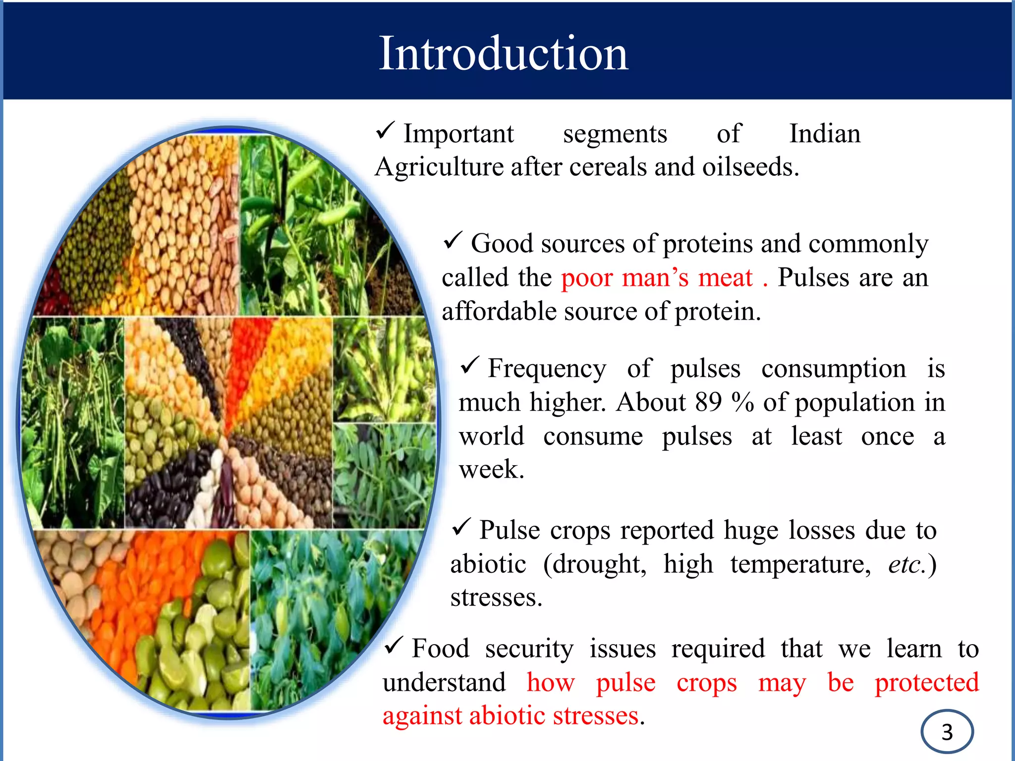 Introduction
 Important segments of Indian
Agriculture after cereals and oilseeds.
 Good sources of proteins and commonly
called the poor man’s meat . Pulses are an
affordable source of protein.
 Frequency of pulses consumption is
much higher. About 89 % of population in
world consume pulses at least once a
week.
 Pulse crops reported huge losses due to
abiotic (drought, high temperature, etc.)
stresses.
 Food security issues required that we learn to
understand how pulse crops may be protected
against abiotic stresses.
3
 