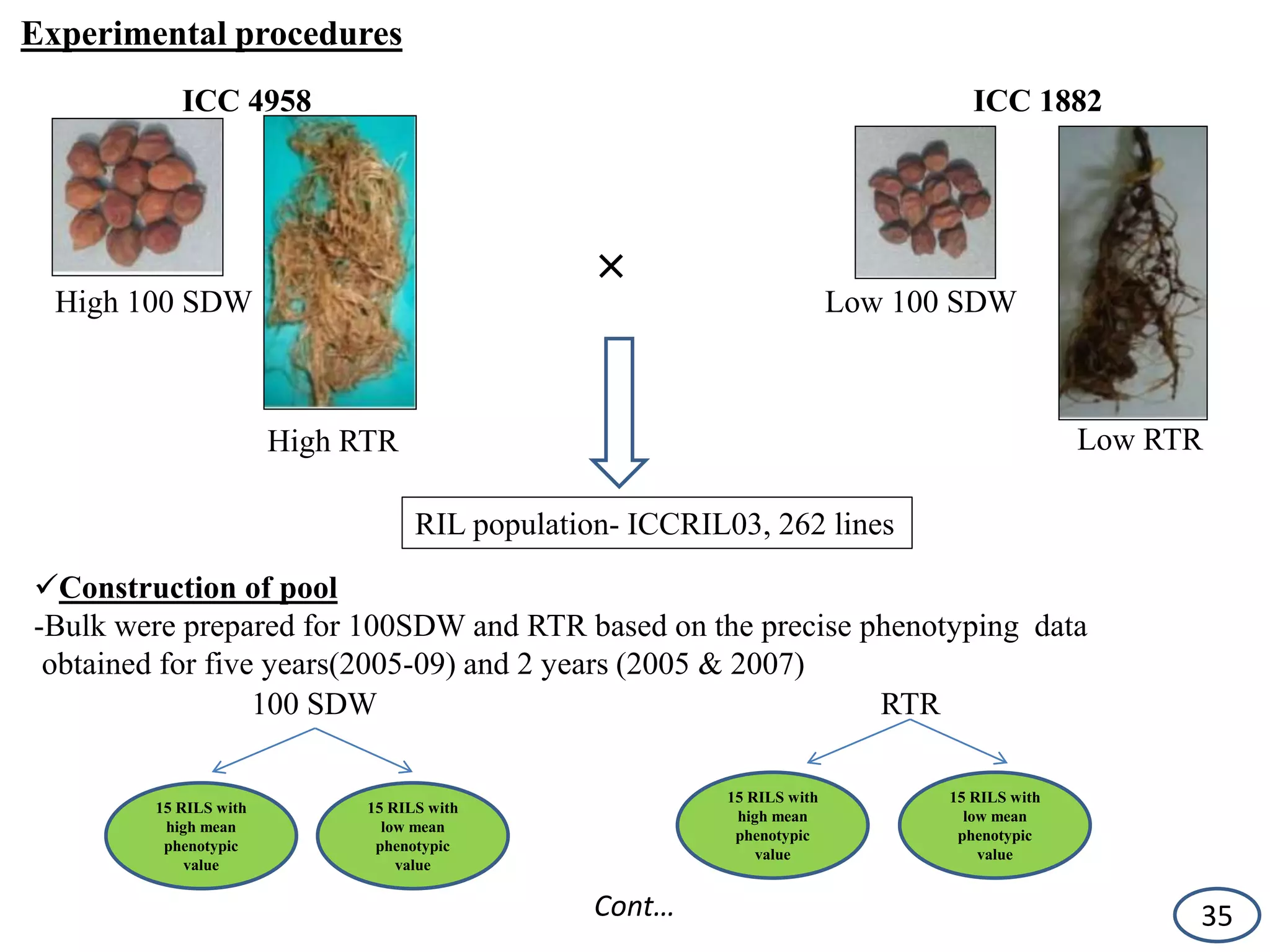 Experimental procedures
ICC 4958
×
ICC 1882
High 100 SDW
High RTR
Low 100 SDW
Low RTR
RIL population- ICCRIL03, 262 lines
Construction of pool
-Bulk were prepared for 100SDW and RTR based on the precise phenotyping data
obtained for five years(2005-09) and 2 years (2005 & 2007)
100 SDW
15 RILS with
high mean
phenotypic
value
15 RILS with
low mean
phenotypic
value
RTR
15 RILS with
high mean
phenotypic
value
15 RILS with
low mean
phenotypic
value
35Cont…
 