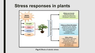 Abiotic stress presentation | PPTX